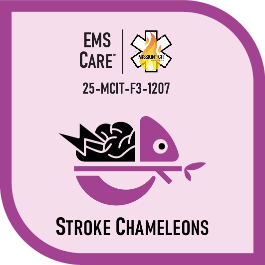EMR Chapter 25-MCIT-F3-1207 | Stroke Chameleons