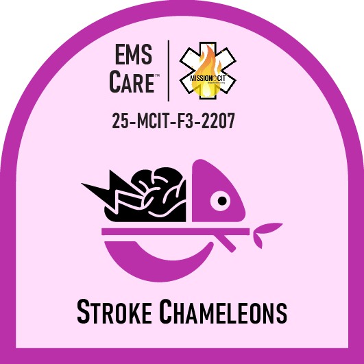 EMT Chapter 25-MCIT-F3-2207 | Stroke Chameleons
