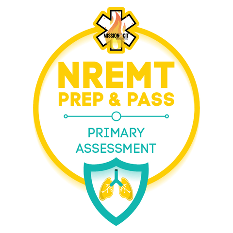 Primary Assessment